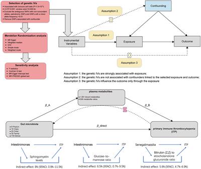 Genetically predicted plasma metabolites mediate the causal relationship between gut microbiota and primary immune thrombocytopenia (ITP)